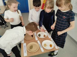 342355822_2391153584375857_575529470658373603_n